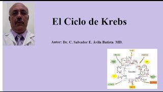 CICLO DE KREBS [upl. by Nohsram]