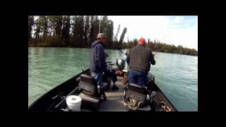 Kenai River Silver Salmon Fishing [upl. by Meghan]