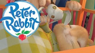 Peter Rabbit  The Squeaky Toy [upl. by Adnema]