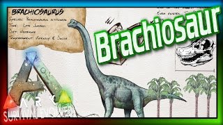 Brachiosaurus ARK Survival Evolved Dossier 47 ARK Brachiosaur Update amp Spotlight [upl. by Freddie]