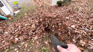 Redmax EBZ 8500 backpack blower blowing leaves 🍁 [upl. by Nytsua]