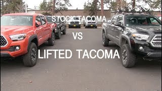 Stock amp Lifted Tacomas SideBySide [upl. by Nwaf728]