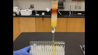 Column Chromatography [upl. by Aivital186]