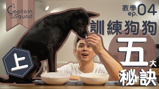 【 教學 ep04  訓練狗狗最重要嘅五大工具同秘訣上 🐕🚶🏻‍♂️🥇️ 】狗主必備必學招式｜新手養狗全攻略｜寵物資訊一睇就明《Captain 狗隻訓練》cc中英字幕 [upl. by Hnaht]