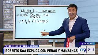 ¿Quiénes podrán acceder a IFE Universal [upl. by Carn]