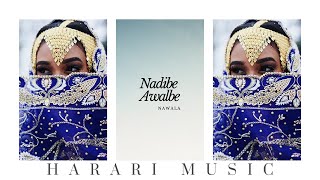 Nawala  Tab Bati Aruzle│Ethiopian Harari Music Audio [upl. by Artened]