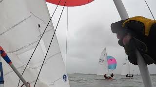 Kestrel Open 2024 at Maylandsea Bay Sailing Club [upl. by Llenwad]