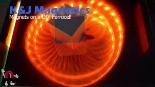 Neodymium Magnets on a Ferrocell [upl. by Llenrup]