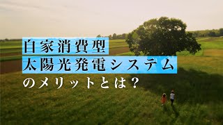 自家消費型太陽光発電システムのメリット【自家消費 太陽光発電】 [upl. by Cathie197]