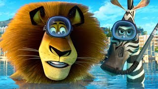 DreamWorks Madagascar  Alex and Marty Best Friends  Madagascar Funny Scenes  Kids Movies [upl. by Esemaj]