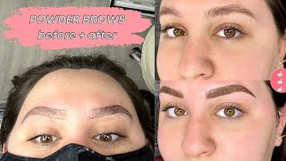 I GOT POWDER BROWS healing process  daily progress [upl. by Vinay367]