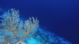 Underwater Mountains in the Indian Ocean [upl. by Atinat]