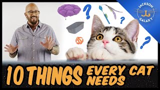 Everything You Need for Your Cat  10 Cat Essentials for New Guardians [upl. by Nwahsem750]