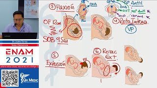 TEORIA I  OBSTETRICIA [upl. by Nij82]