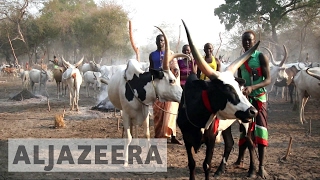 South Sudan counts human cost of deadly cattle raids [upl. by Aneeuq]