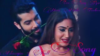 Naagin 5 full Song Tere Sang Pyar Mein Nahi Todna Colors HD TV and Colors Rishtey ANVH TV [upl. by Akire576]