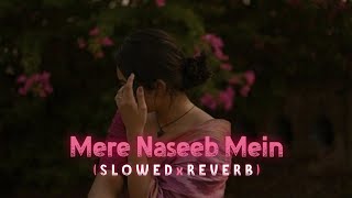 Mere Naseeb Mein  Remix SlowedReverb  Baby H [upl. by Weinshienk]