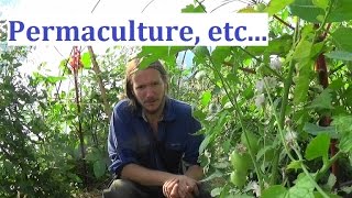 La culture sur buttes 1  permaculture et agroécologie [upl. by Kellina]