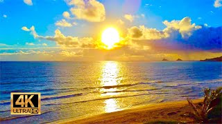 Sunrise from Kailua Beach in Oahu Hawaii  12 Hours of Beach Sunrise  Ocean Waves [upl. by Nauaj102]