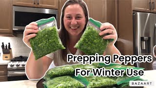 Save Your Peppers for Winter Easy Cleaning amp Prepping Tips [upl. by Marla]