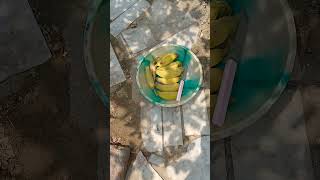 Ripen banana s harvesting trending kitchengarden bananas youtubeshorts [upl. by Ayokal488]