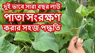 দুই ভাবে সারা বছর লাউ পাতা সংরক্ষণ করার সহজ পদ্ধতি HOW TO PRESERVE BOOTLE GOURD LEAVES WHOLE YEAR [upl. by Halla]