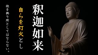 【釈迦如来真言】真言聞き流し～悟りへ導く御真言「仏教の開祖お釈迦様の教えにより不安や苦しみからの解放を目指す」（釋迦牟尼佛心咒 [upl. by Gwenny860]