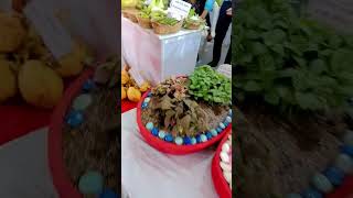 FLORICULTURE stall at igkvraipur2388 food agriculture cookingchannel trendingshorts [upl. by Makell]