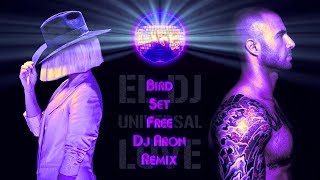 SIA  BIRD SET FREE DJ ARON REMIX [upl. by Yenobe]