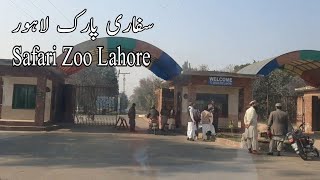 Safari Zoo Lahore  Safari Park Lahore  Lahore Park  NafeesPakistan [upl. by Bartholomew122]