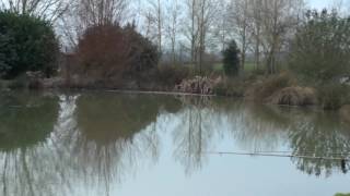 TODDINGTON FISHERY TODDINGTON BEDFORDSHIRE [upl. by Elmira101]