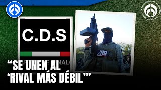 ¿Por qué el CJNG se alió con Los Chapitos [upl. by Mackenzie]