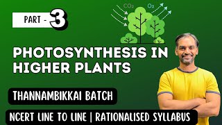 Photosynthesis in Higher Plants  Part 3  Thannambikkai Batch 2024 [upl. by Neel]