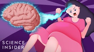 How Giving Birth Changes Your Brain [upl. by Cyler671]