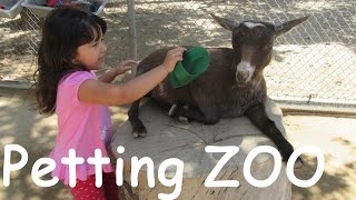 Petting ZOO Childrens ZOO Feeding Goats Learn Animals Names for Kids [upl. by Alyn]