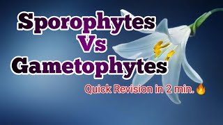 Different between sporophytes and GametophytesWhat is sporophytes and Gametophytes [upl. by Calv]