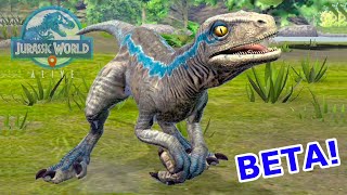 HE CREADO A BETA Y ES PRECIOSA Beta hija de velociraptor Blue nuevo dinosaurio Jurassic World Alive [upl. by Danica]