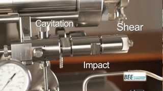 High Pressure Homogenizers From BEE International [upl. by Aremihc45]