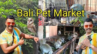 Bali Pet Market in tamil [upl. by Loseff]