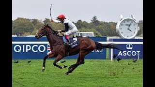 Cracksman  Co3rd Highest Rated Racehorse in the World for 2017 [upl. by Neik]