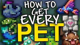 How to get EVERY pet in Terraria 144 [upl. by Devine750]