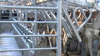 DeLaval 3232 Rapid Exit With Auto ID and Auto Wash [upl. by Heeley]