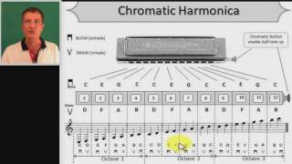 C Chromatic harmonica lesson [upl. by Jinny166]