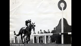 The BBC Grand National 1967  Foinavon Full Race [upl. by Sonstrom]