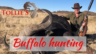 Cape Buffalo Hunting in Africa  Buffalo Hunt at Tollies African Safaris [upl. by Judah226]