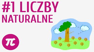 Liczby naturalne 1  Liczby naturalne [upl. by Rachele]