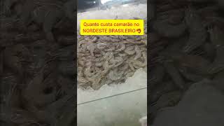 Preço do camarão no NORDESTE BRASILEIRO 🦐🍽 [upl. by Nyer758]