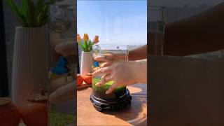 Amazing aquarium fishbowlsetup fishaquarium fishing aquariam fishtank fishbowl fishing [upl. by Renado]