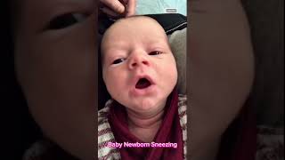 Baby Newborn Sneezing 😍baby babycute babyvideos shortvideo newborn cutewords shorts fyp [upl. by Ardnosal]