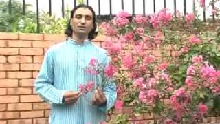 Mahiye by Attock folk singer NASIM SIDDIQUI [upl. by Janus]